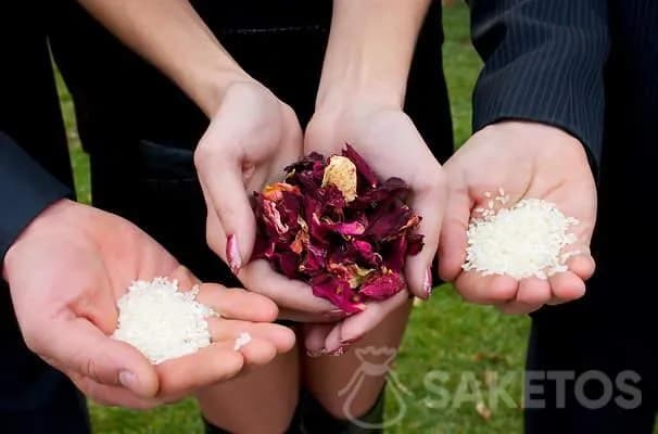Gdzie kupić konfetti? Sprawdź najlepsze miejsca i oferty Gdzie kupić konfetti? Sprawdź najlepsze miejsca i oferty